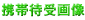 �g�ёҎ�摜