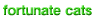 fortunate cats �V���ȉƑ��Ɍ}����ꂽ�L�B