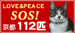 ���s�a���E�����������112�C�̔L����