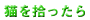 �L���E������