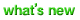 what's new �X�V�����ł�