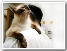 cats