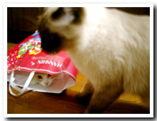 cats