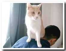 cats