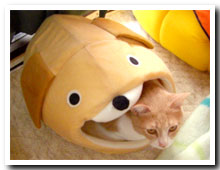 cats