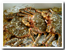 活生姿タラバ1kg