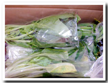 限定!こだわり野菜おためしセット
