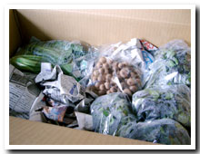 季節の旬の野菜セット